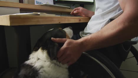 happy caucasian disabled man in wheelchair using computer in bedroom with his pet dog