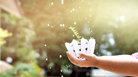 hand of boy holding money coin with tree and watering, slow motion.  bokeh background. business money growing