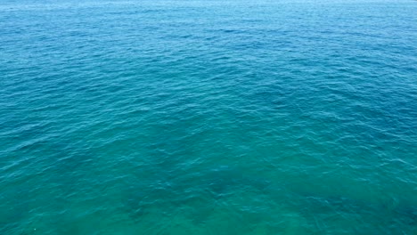 man enjoying the clear blue waves of lebanon at summer -aerial