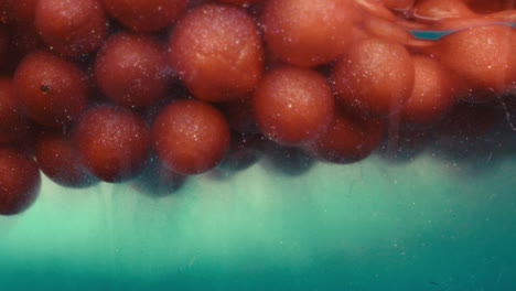 red spheres in liquid