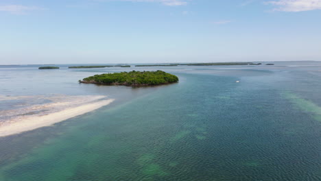 hacia adelante vuela sobre la superficie del agua