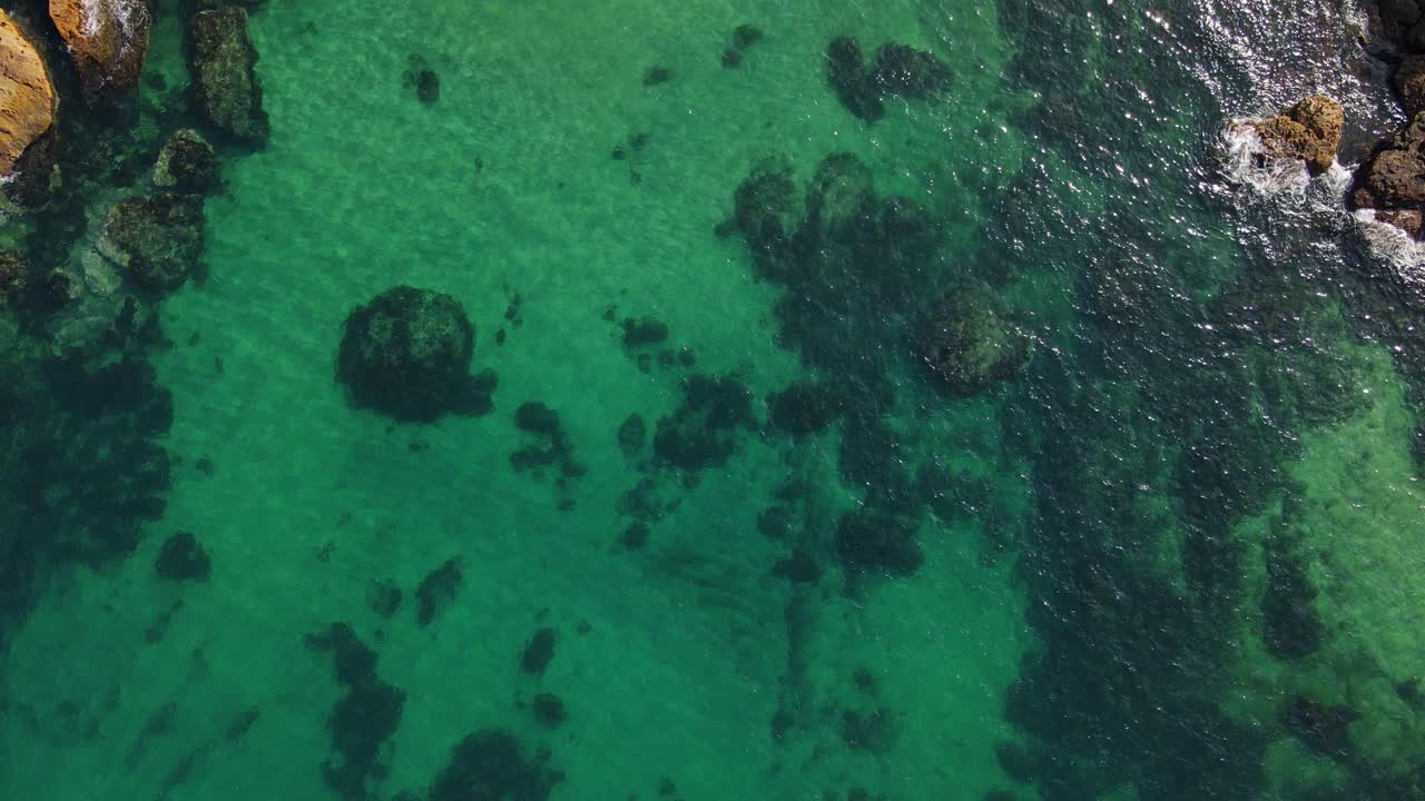 Rocce sul fondale della baia di Gordon visibili sopra l'acqua limpida dell'oceano - Spiaggia di Gordons Bay a Coogee, NSW, Australia
