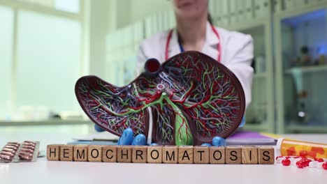 medical liver model and hemochromatosis diagnosis
