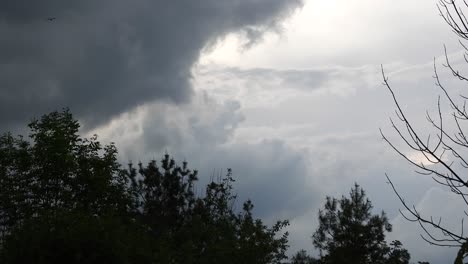 Nubes-De-Tormenta-Oscuras-Que-Se-Mueven-Lentamente-En-El-Fondo-Y-Ramas-Encima-De-Los-árboles-Meciéndose-Con-El-Viento