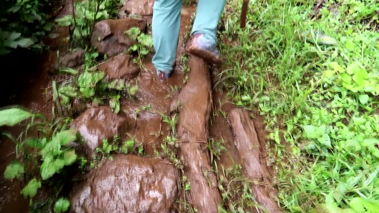 Woman walking through an over flooded and muddy trail in a hike through the tropical jungle