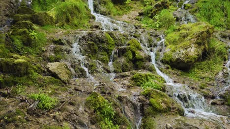 Cascada-De-Primavera-En-Un-Bosque-Aislado-Con-Múltiples-Corrientes-De-Agua-Que-Fluyen