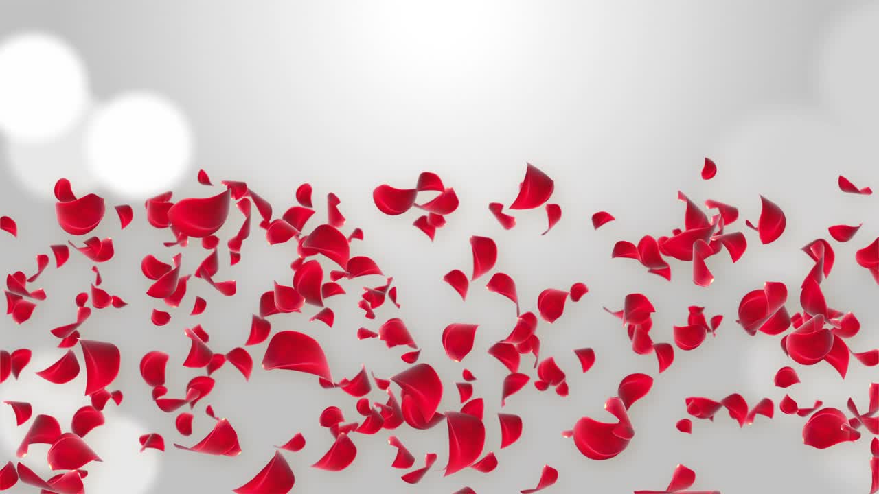 Flower petals falling into camera pink rose smelling flowers dust glitter exploding loop background