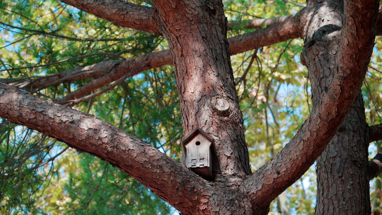 Close up of a small wooden birdhouse fixed on a tree branch surrounded by green leaves