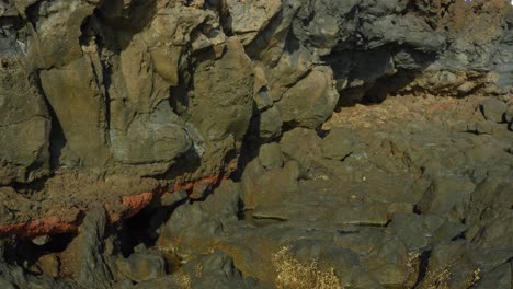 Woman-with-straw-hat-inspect-rocky-surface-of-Tenerife-island,-back-view