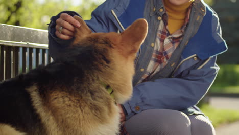 a woman petting her dog in a sunny park