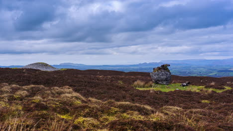 timelapse de la naturaleza rural tierras de cultivo con ovejas cerca de una tumba de paso y roca antigua en un campo de pantano durante un día nublado soleado visto desde carrowkeel en el condado de sligo en irlanda