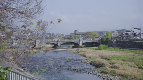 kamogawa river in kyoto, warm spring morning in japan