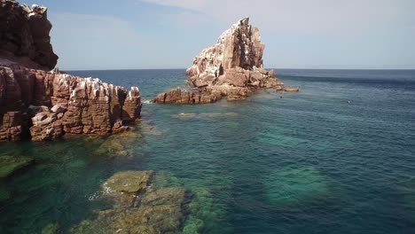 toma aérea cenital de un león marino nadando en &quot;la lobera&quot; en la isla partida, baja california sur