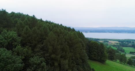 aerial view of forest and lake small village