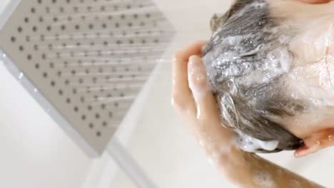 a young girl washes her hair with shampoo. a woman takes a shower. she uses her hands to wash her hair. hair care
