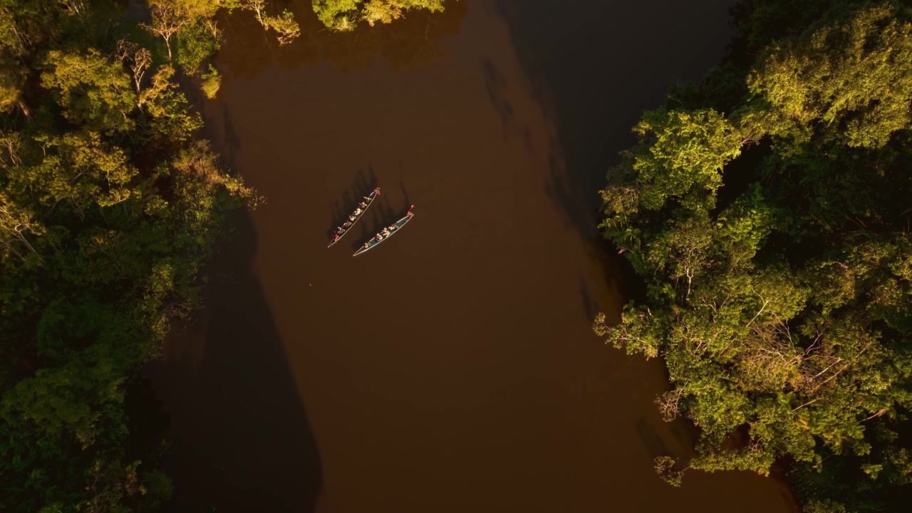 Tomada aérea de drone de duas canoas remando em um rio através da exuberante floresta amazônica