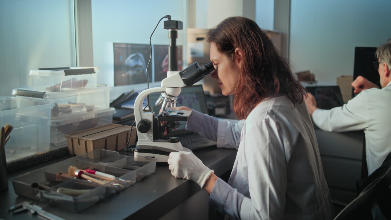 Scientists working in a paleontology lab