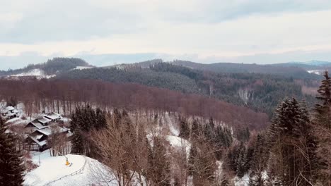 Cacerola-De-Pendiente-De-Nieve-Sobre-Bosque-De-Invierno-En-La-Distancia-Al-Cielo-Nublado