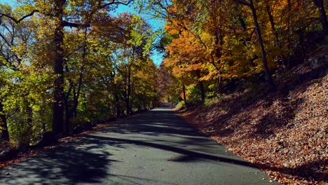 a low angle view of a quiet country road with colorful trees in autumn on a sunny morning