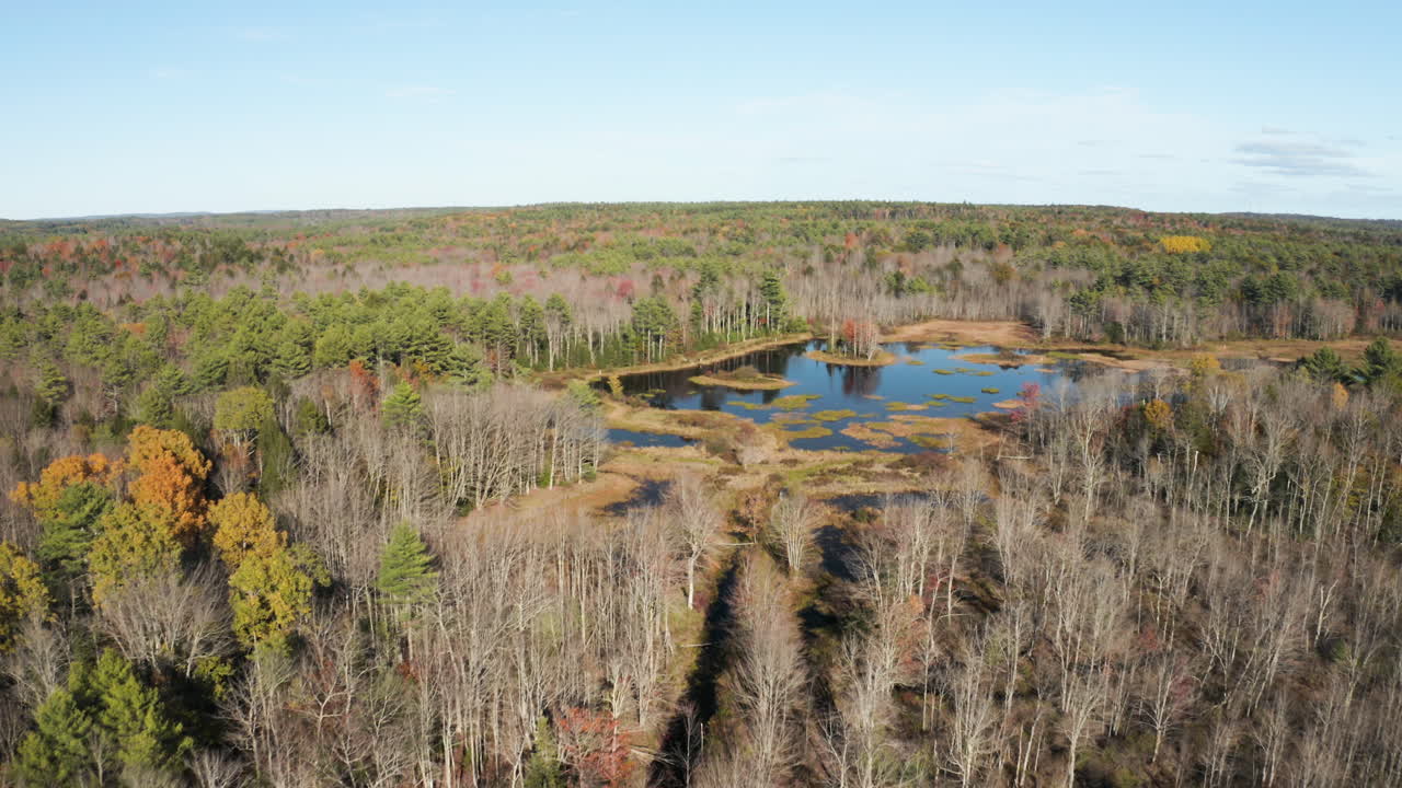 кадры воздушного полета над озером флорида во фрипорте, штат мэн