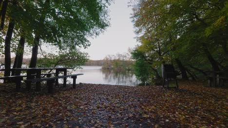 empty wooden benches and grill by gyllebo lake in autumn, österlen sweden - static wide shot