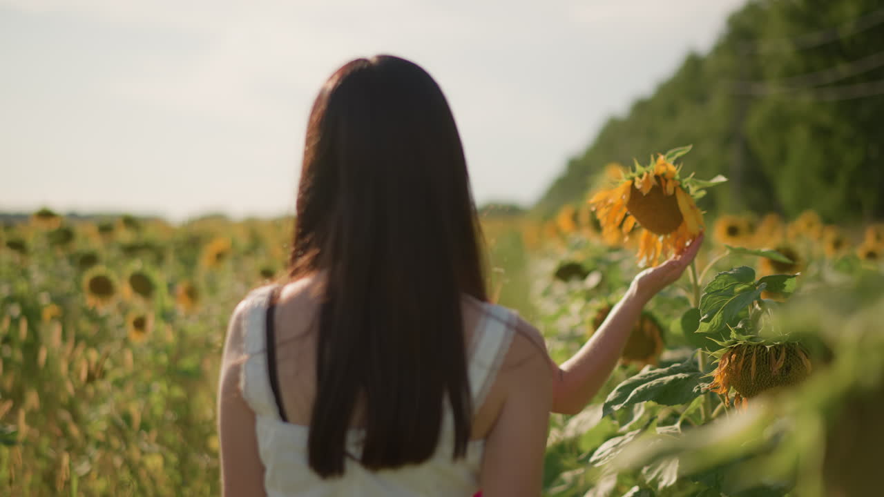 dos mujeres mirando a los girasoles al atardecer, vista trasera cercana, una de ellas intenta tocar la flor, luz tenue vespertina, horizonte rural, ambiente íntimo y reflexivo, suave brisa entre los pétalos, detalle táctil