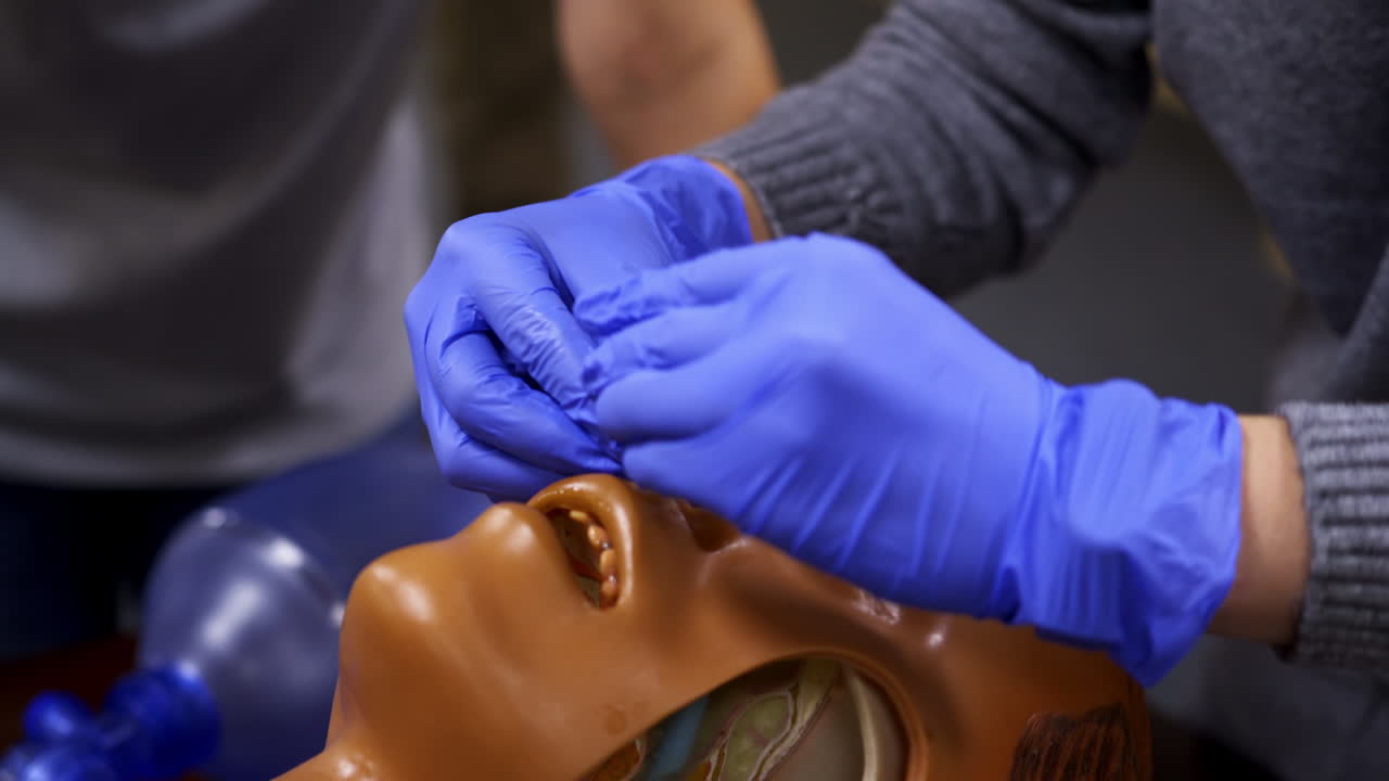Esercitazione su manichino. Specialista che dimostra una procedura medica su una testa manichino. Corso di formazione. Primo piano.