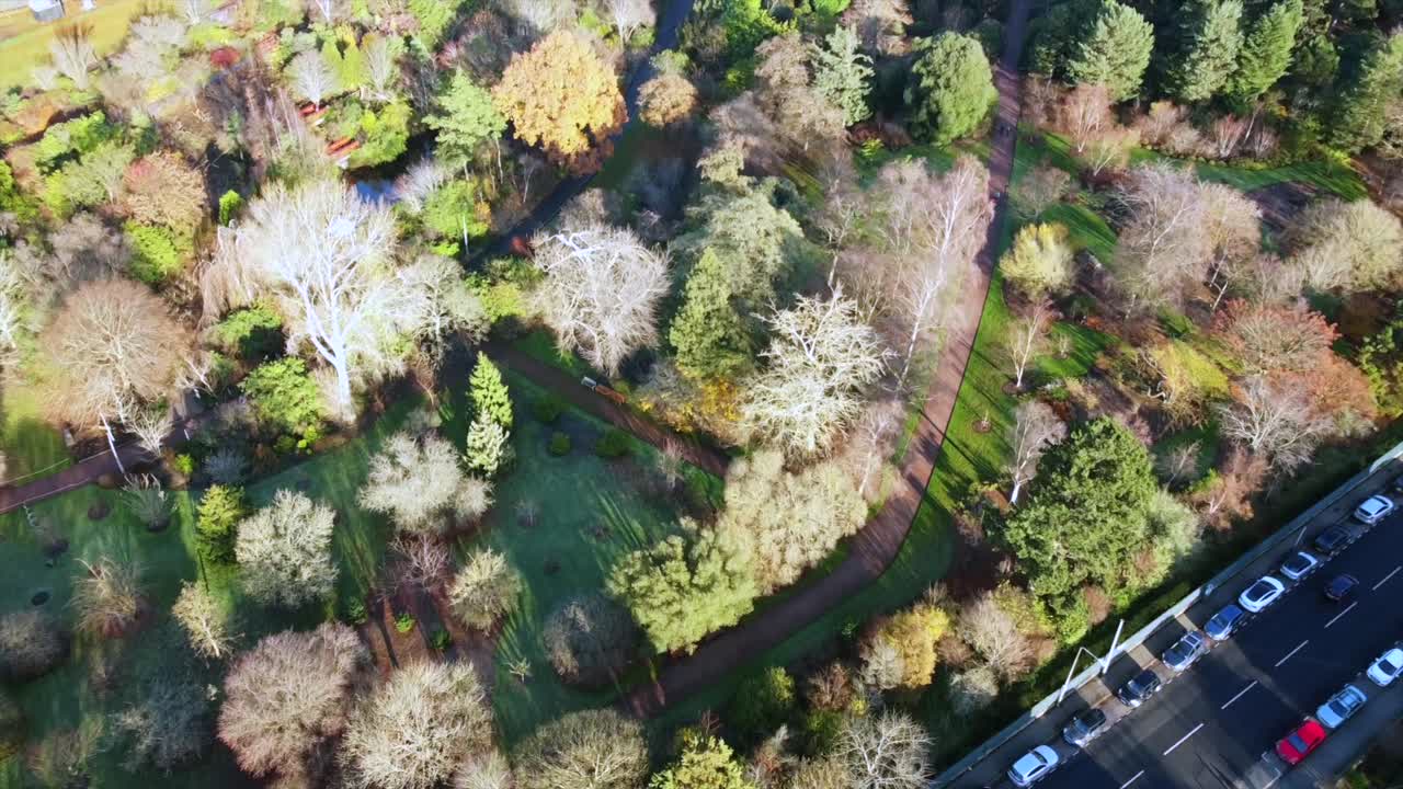 Aerial footage of the Royal Botanic Garden in Edinburgh, Scotland, displaying a rich array of autumn colors. The scene features tree-lined pathways, and beautiful fall foliage from above.