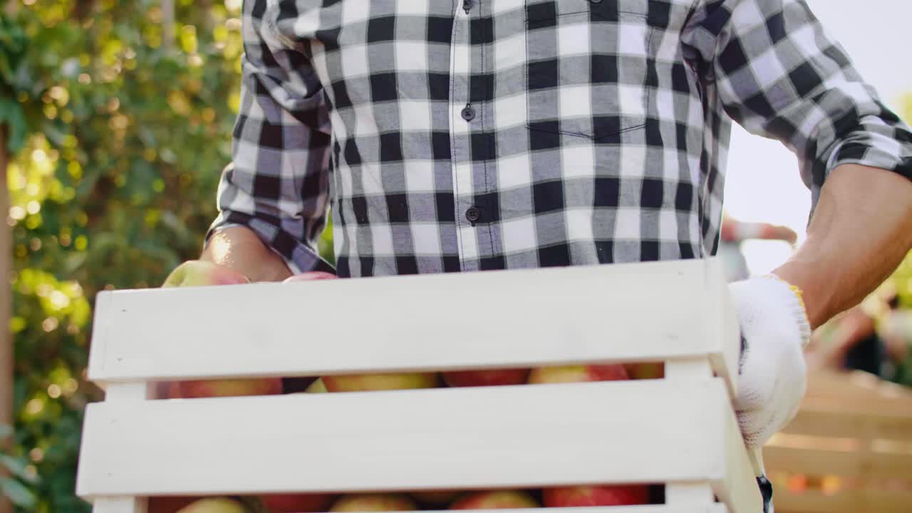 사과 로 가득 찬 상자 를 들고 있는 남자 들 의 클로즈업