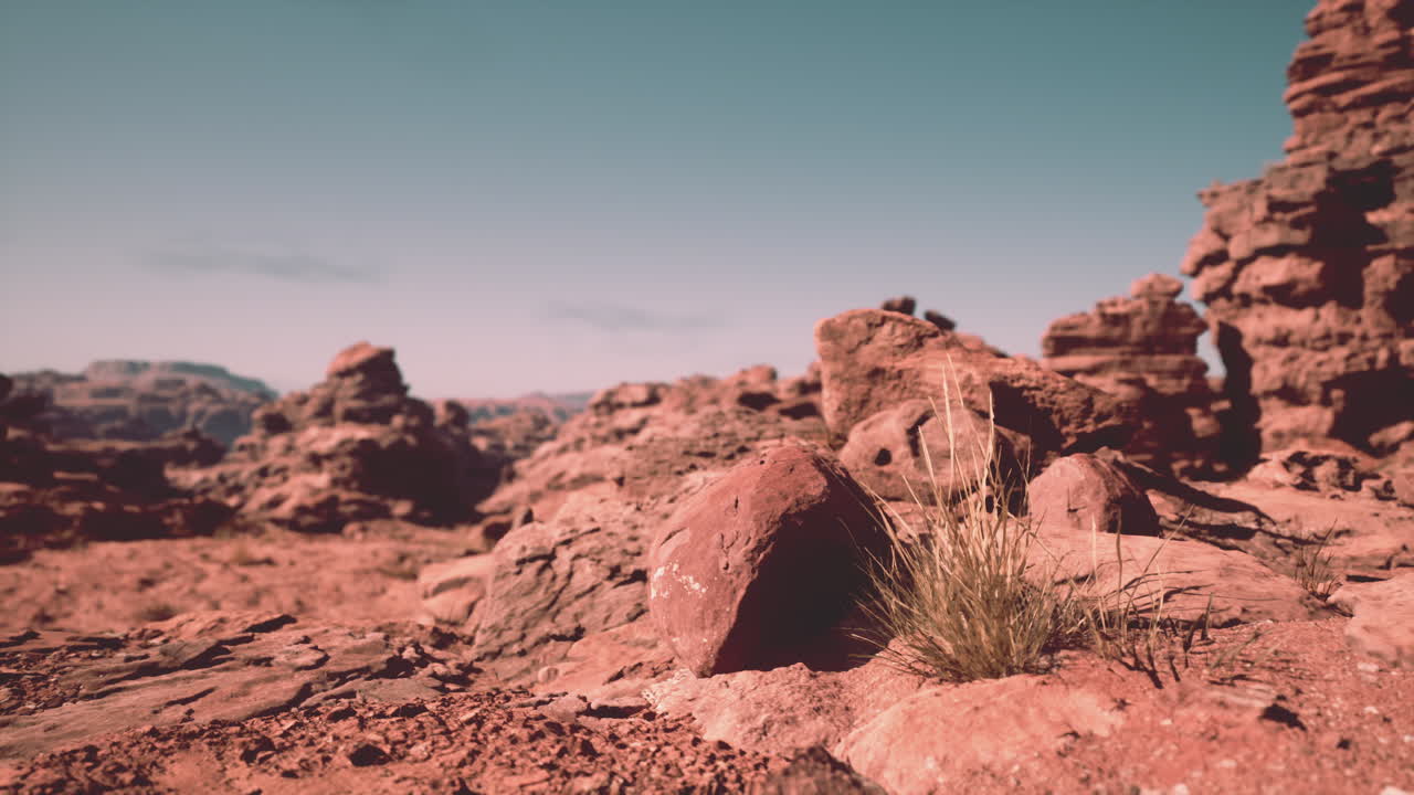 거친 은 바위 사막 풍경