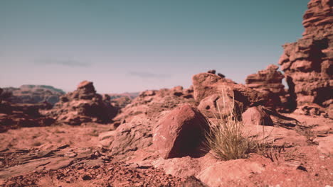 a rugged red rock desert landscape