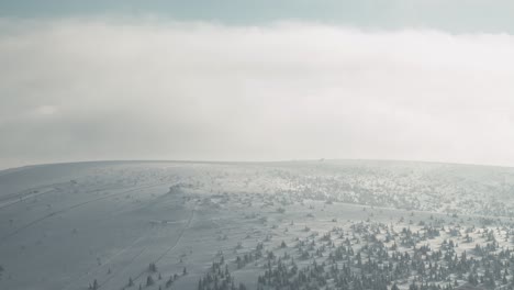 aerial drone shot showing snow covered winter landscape  with many trees