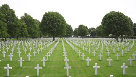 wide drone shot of rows of white crosses at the netherlands american cemetery and memorial in margraten, holland