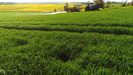 spraying the herbicides on the green field