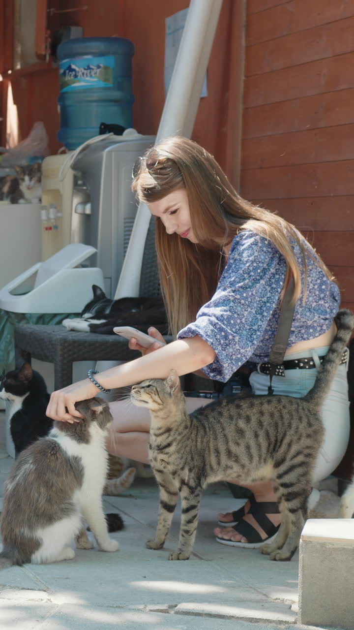 Woman petting cats