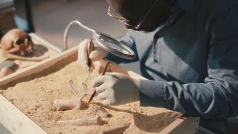 african american archaeologist excavating bones in sand-filled tray in lab