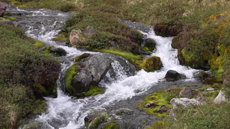 Ruscello glaciale d'acqua dolce nel paesaggio dell'isola della Georgia del Sud, Territorio d'oltremare britannico.