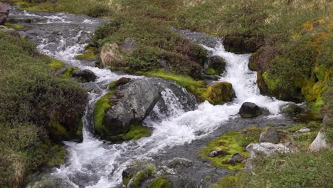 arroyo de agua dulce glacial en el paisaje de la isla de georgia del sur, territorio británico de ultramar