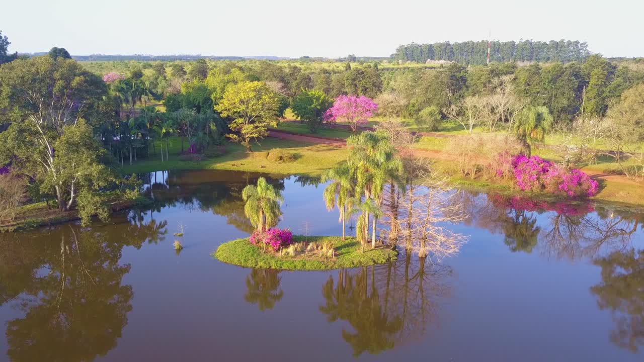 Flight over isle towards Carpinchos (Capybara) rodents sunbathing. Lagoon in Las Marias industry complex. Enviromental conciousness in Yerba Mate production, in Ibera, Corrientes, Argentina.