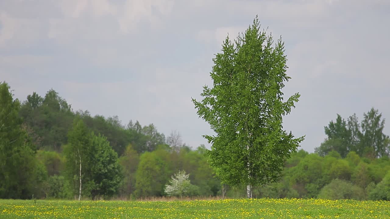 건초 롤과 도로가 있는 위와 지상에서 여름 시간에 시골의 탁 트인 풍경