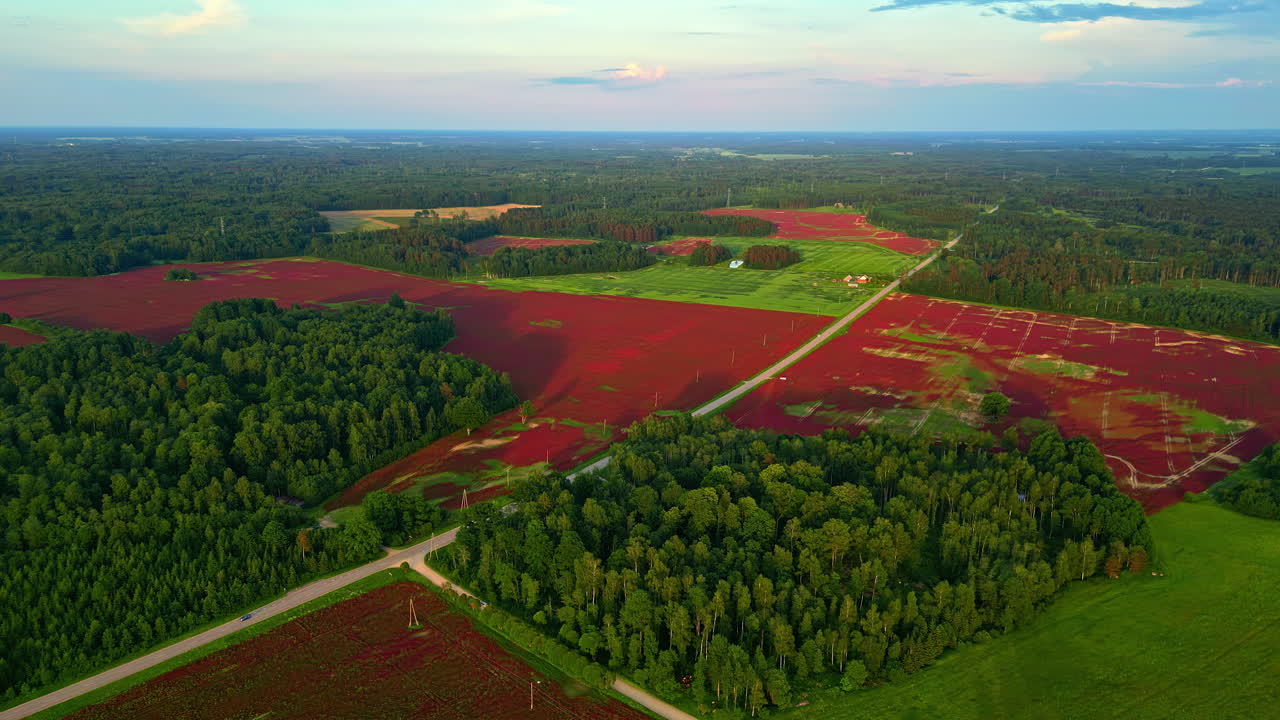 드론과 함께 중간에 녹색 숲과 함께 빨간 필드 위의 느린 동작