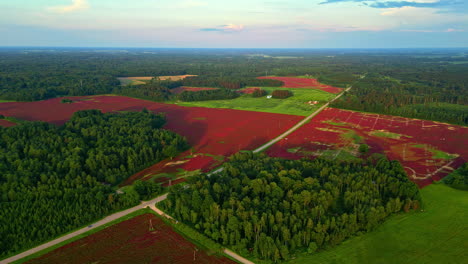 Zeitlupe-über-Einem-Roten-Feld-Mit-Grünen-Wäldern-Dazwischen-Mit-Drohne