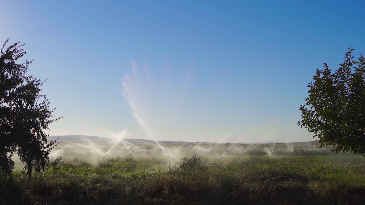 Irrigation System in Agricultural Lands. Slow Motion.
