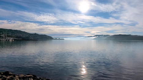 idyllic scenic view overlooking evans bay harbour with sunlight on water on a beautiful calm day in capital city of wellington, new zealand aotearoa