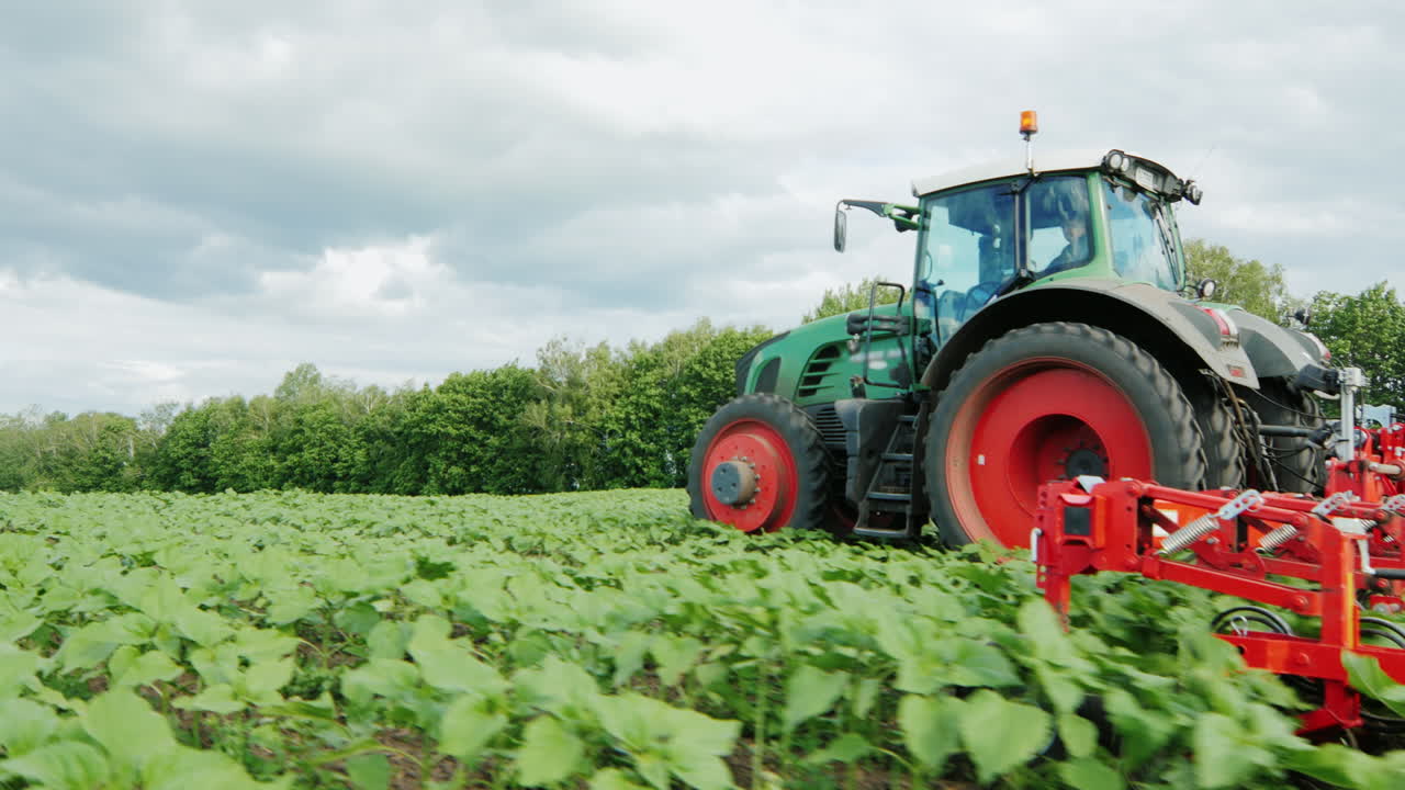 el tractor tira del mecanismo de deshierbe 02