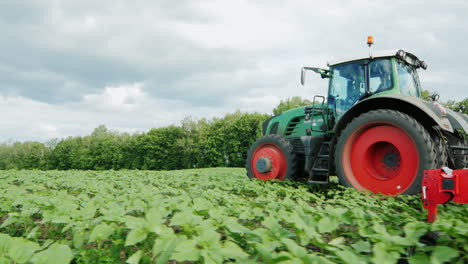 el tractor tira del mecanismo de deshierbe 02