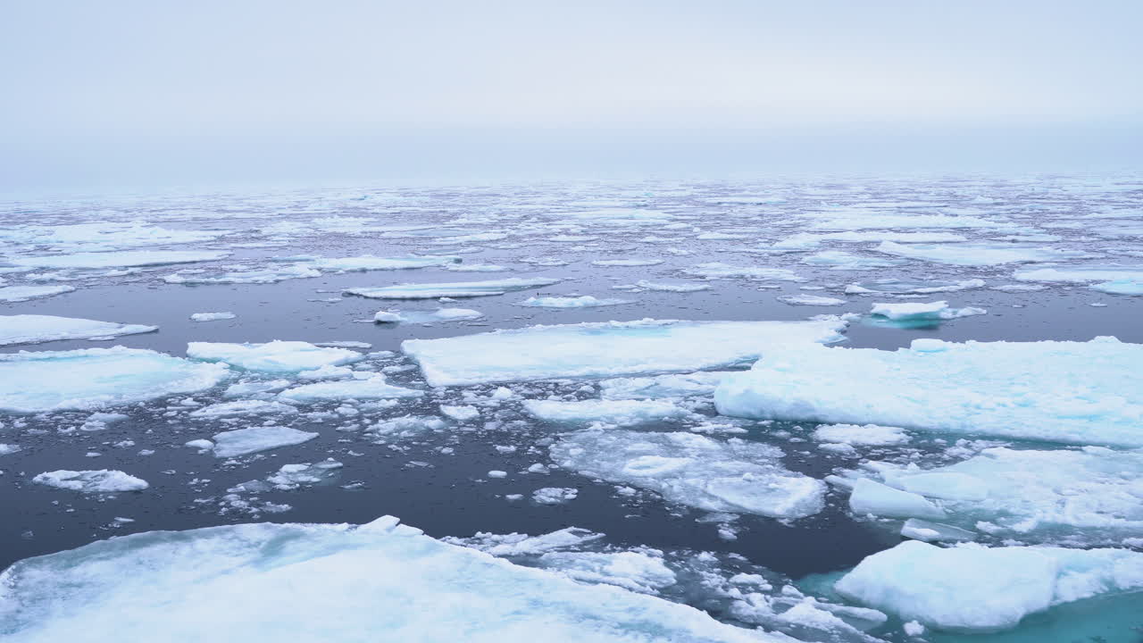 Navigazione tra frammenti di ghiaccio nel Mar Artico in una giornata fredda e nebbiosa.