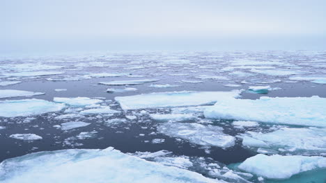 Sailing-by-Broken-Pieces-of-Ice,-Arctic-Sea-on-Cold-Misty-Day