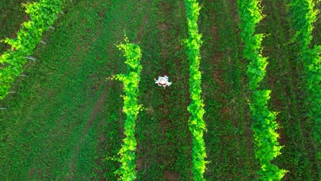 stunning drone footage of a white caucasian woman with a knitted hat in a dress walking through vineyards of jeruzalem and admiring the surroundings