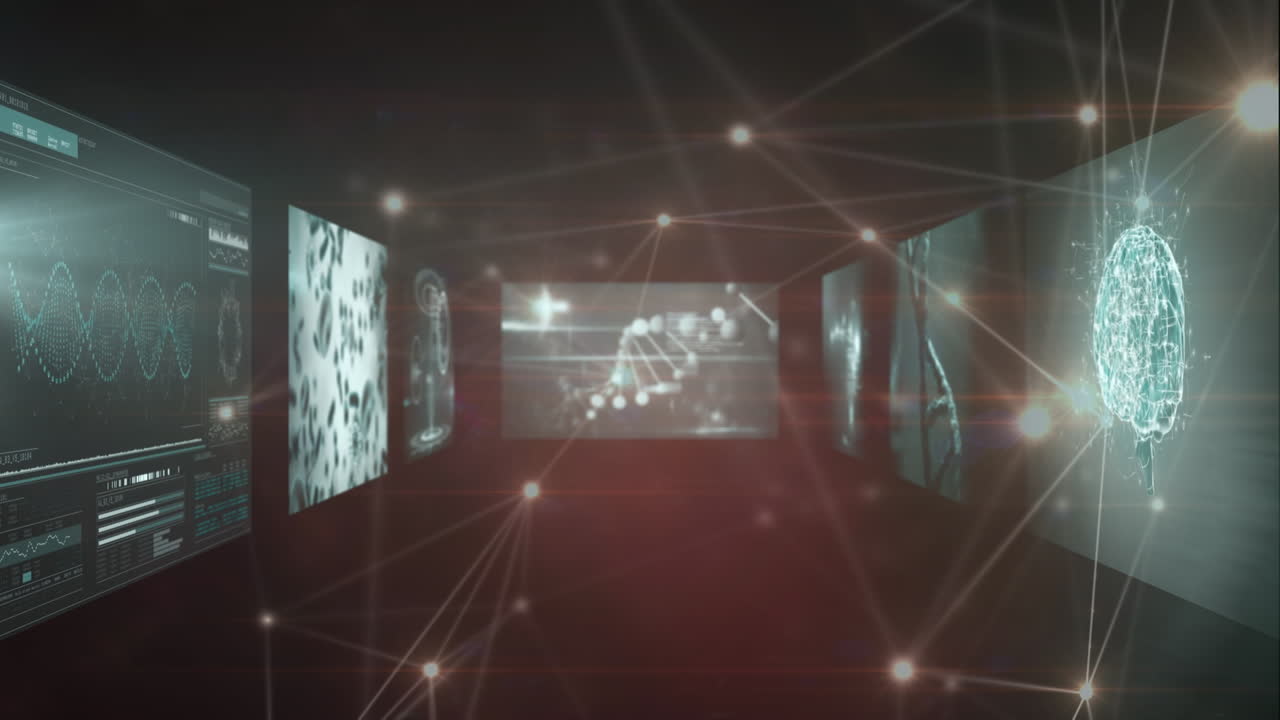 animación de la red de conexiones a través del procesamiento de datos